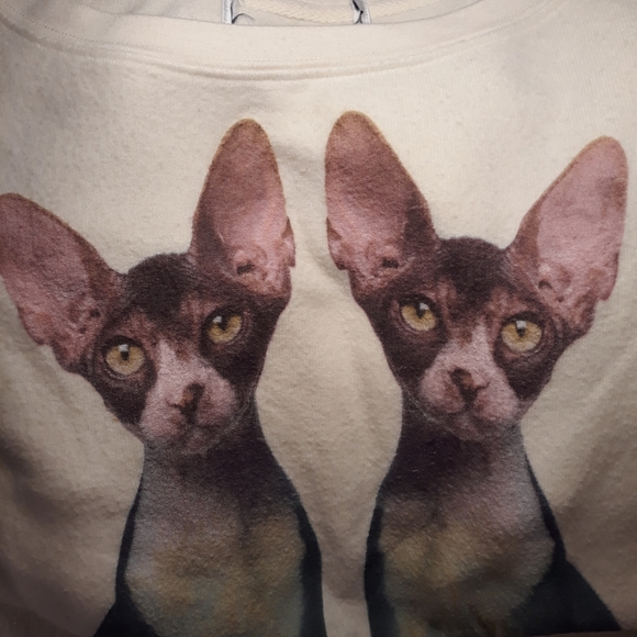 🚫SOLD🚫 Wildfox - Picture 6 of 11